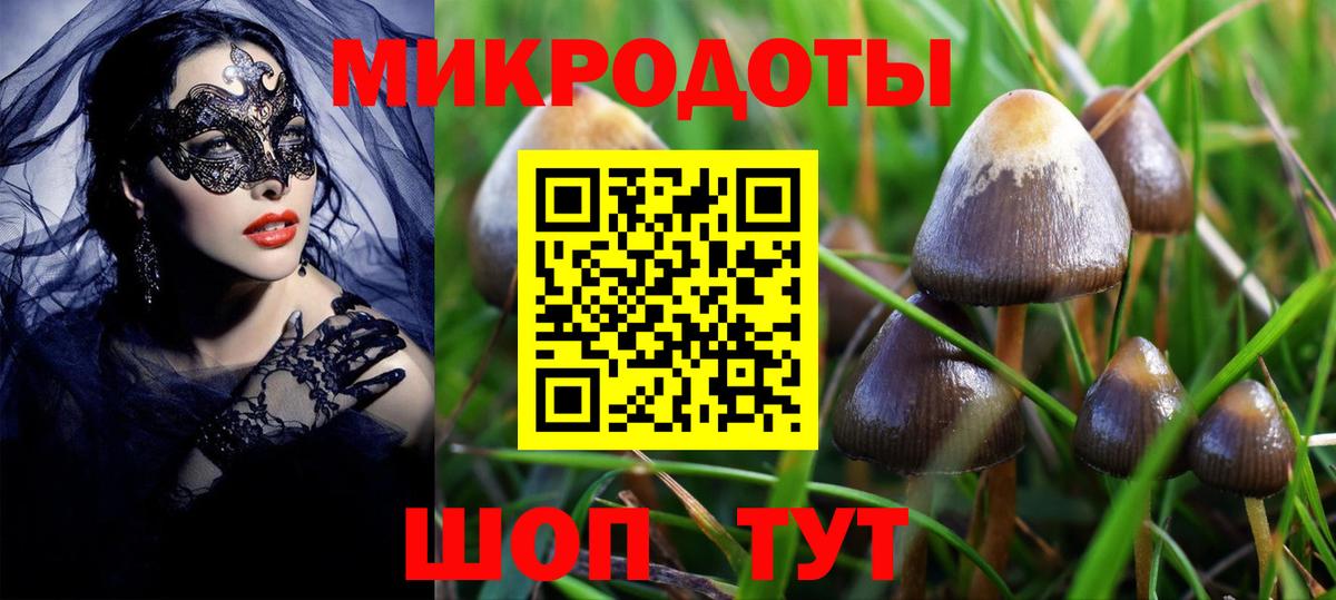 Галлюциногенные грибы мухоморы  Псилоцибиновые грибы ЛСД  Вход с VPN  Курчатов 